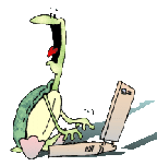 turtlecomp.gif